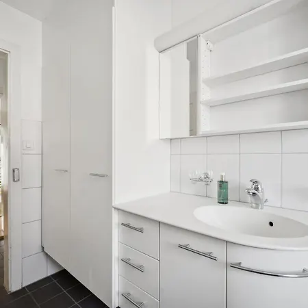 Comfortable In Oerlikon 20 Minutes Away From Airport Appartamento Zurigo