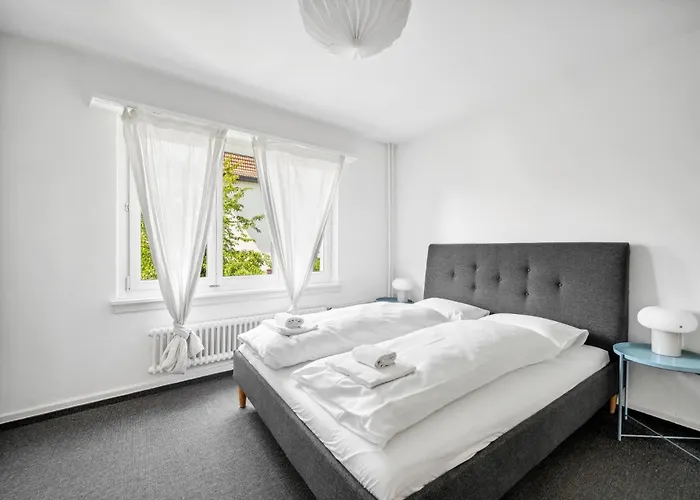Comfortable In Oerlikon 20 Minutes Away From Airport * Curych