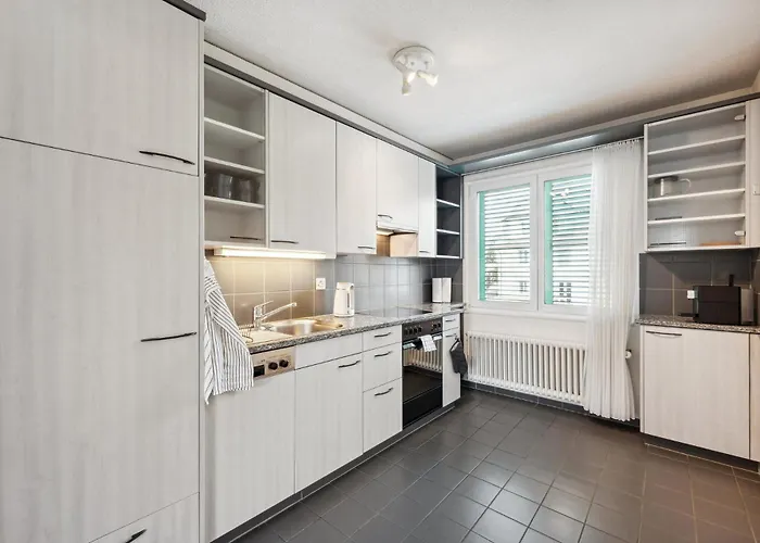 Comfortable In Oerlikon 20 Minutes Away From Airport Apartamento *