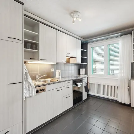 Comfortable In Oerlikon 20 Minutes Away From Airport Appartamento *